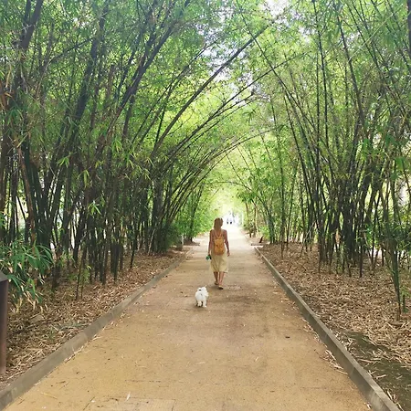 Apartment Home2book Bereber Cruz Center, Terrace *